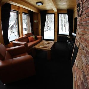 Apartament z 1 sypialnią na poddaszu na poddaszu